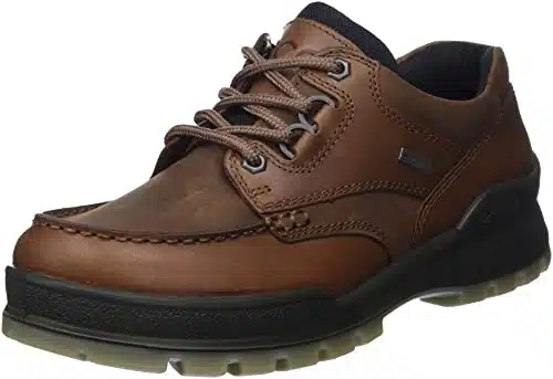 ECCO Men's Track Low Gore tex Waterproof Hiking Shoe, BisonBison Oil Nubuck,