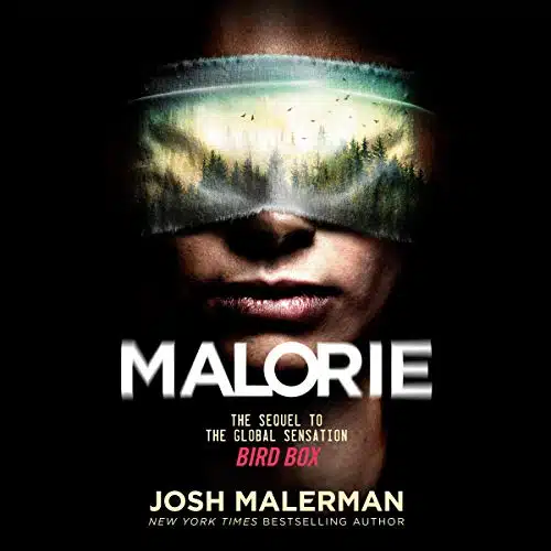 Malorie A Bird Box Novel