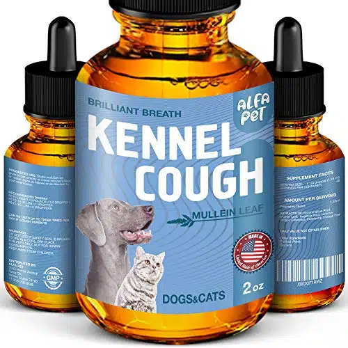 Dog Cough   Kennel Cough   Dog Allergy Relief   Supplements For Dogs & Cats Health   Allergy Relief Immune Supplement for Dogs   for Dry, Wet & Barkly